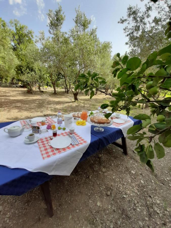B&B Il Girasole Sant'Anna Arresi Exterior photo